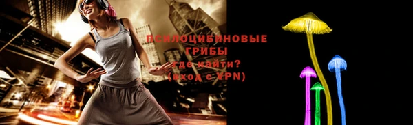 ешки Корсаков