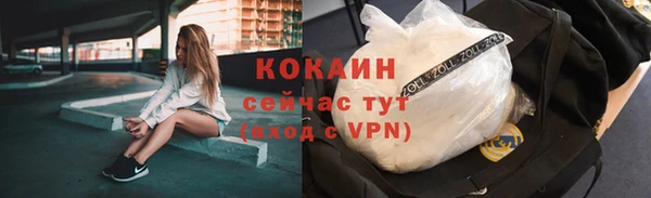 ешки Корсаков